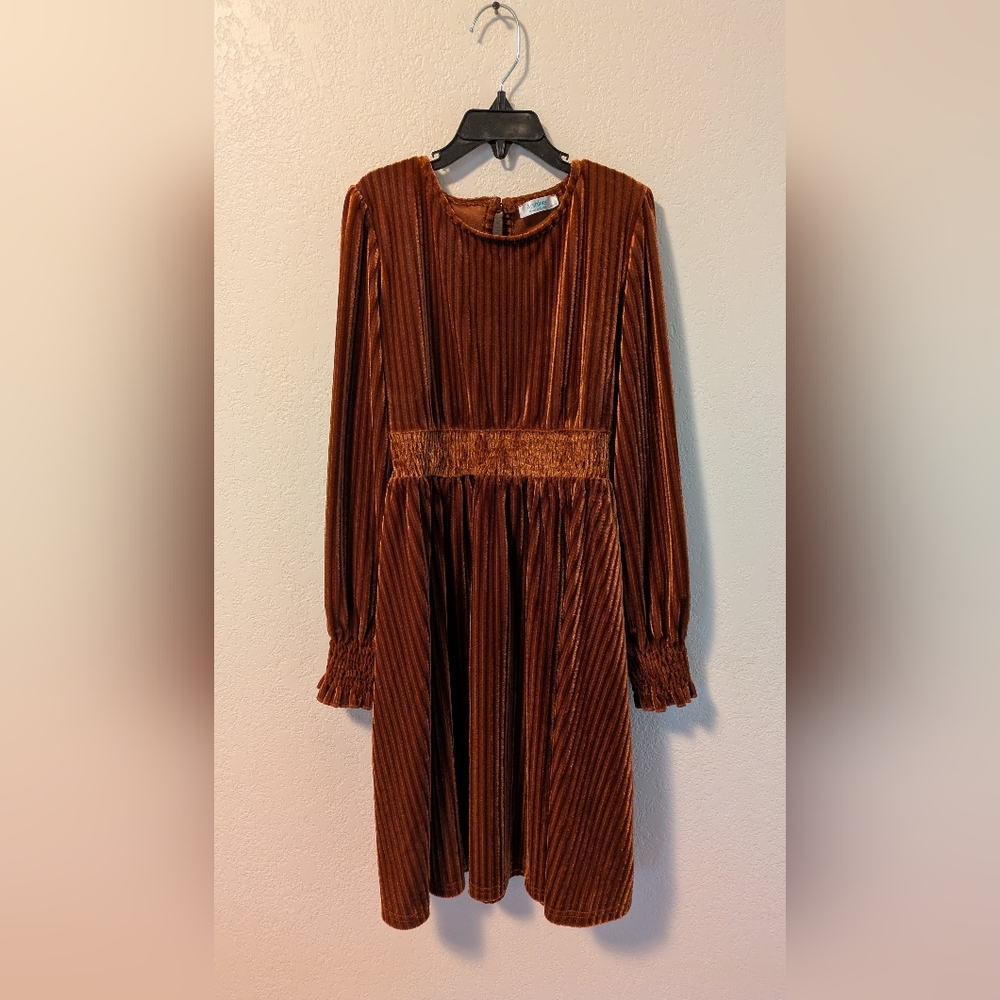 Arshiner Velvet Little Girl's Dress
